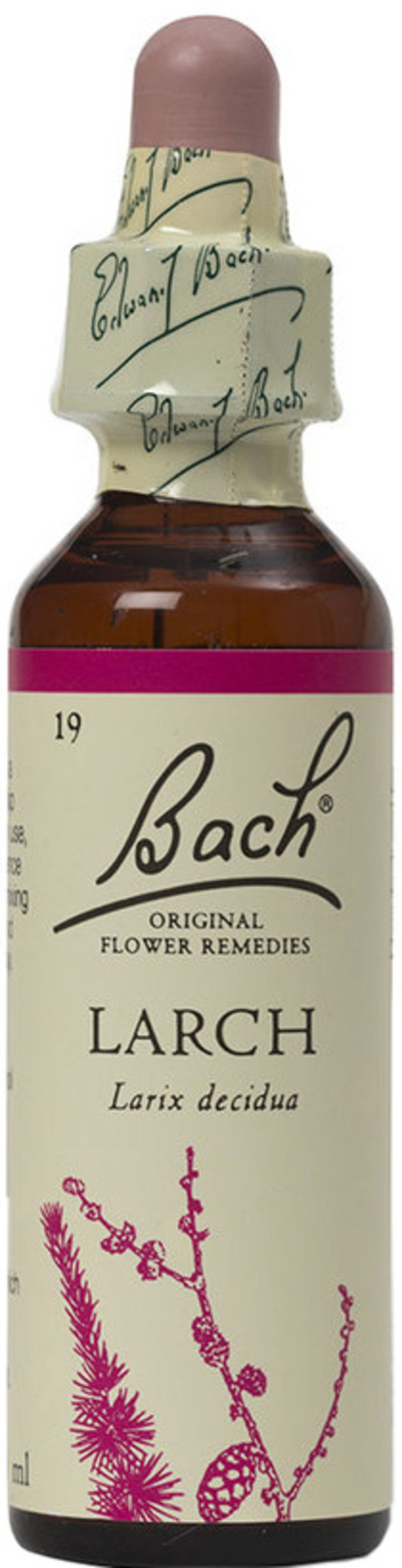 BACH ORIGINAL FLOWER REMEDIES larch 20ml
