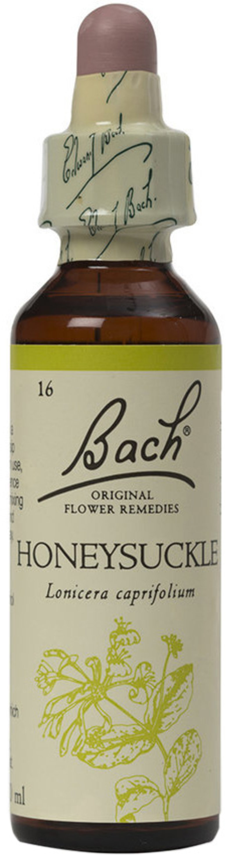 BACH ORIGINAL FLOWER REMEDIES honeysuckle 20ml