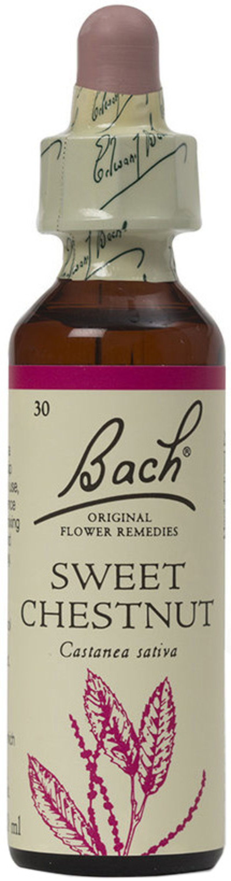 BACH ORIGINAL FLOWER REMEDIES sweet chestnut 20ml