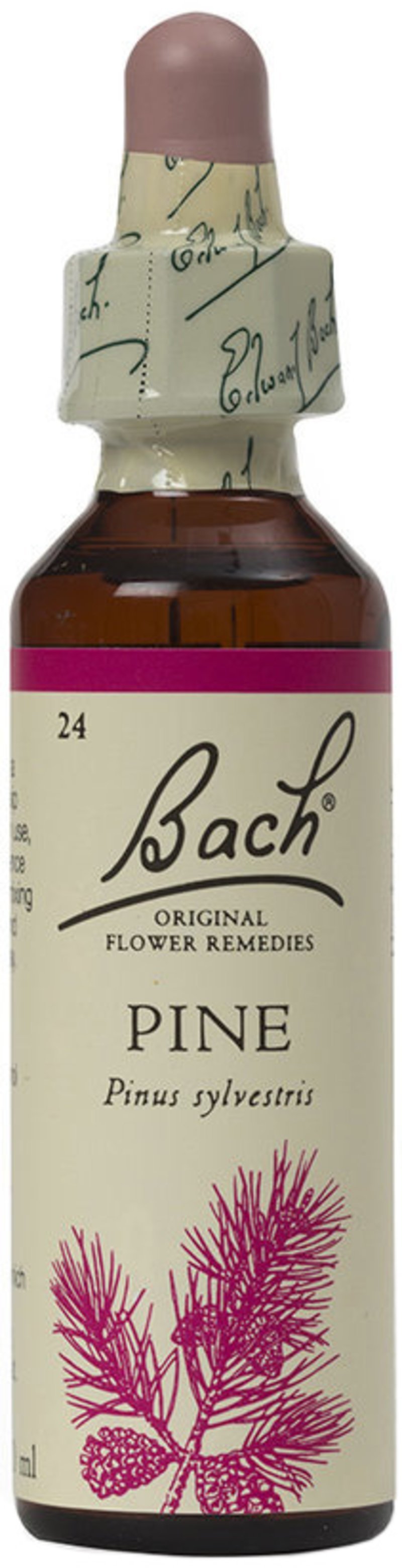 BACH ORIGINAL FLOWER REMEDIES pine 20ml