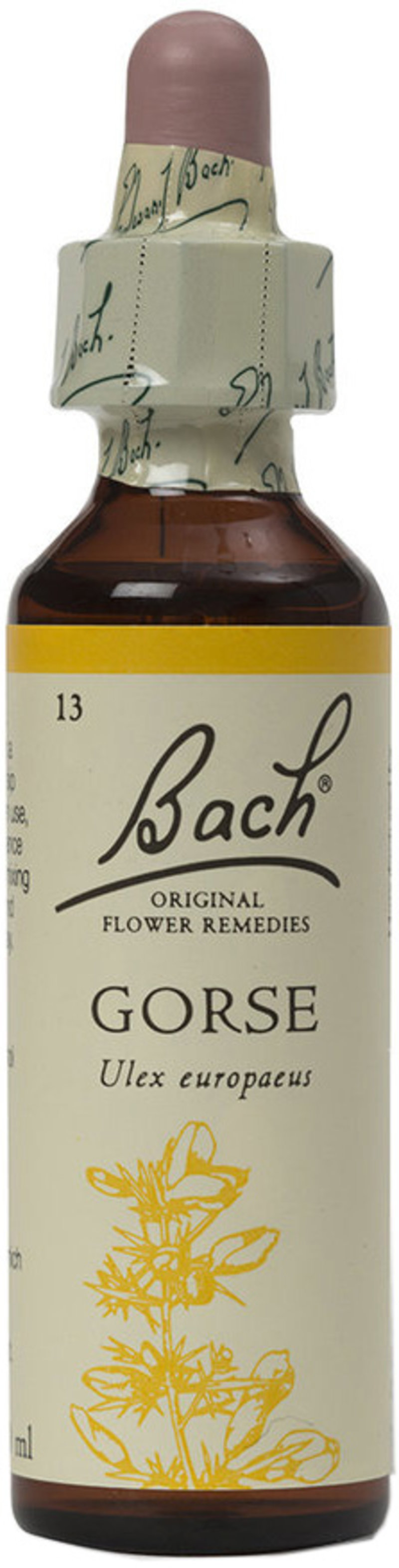 BACH ORIGINAL FLOWER REMEDIES gorse 20ml