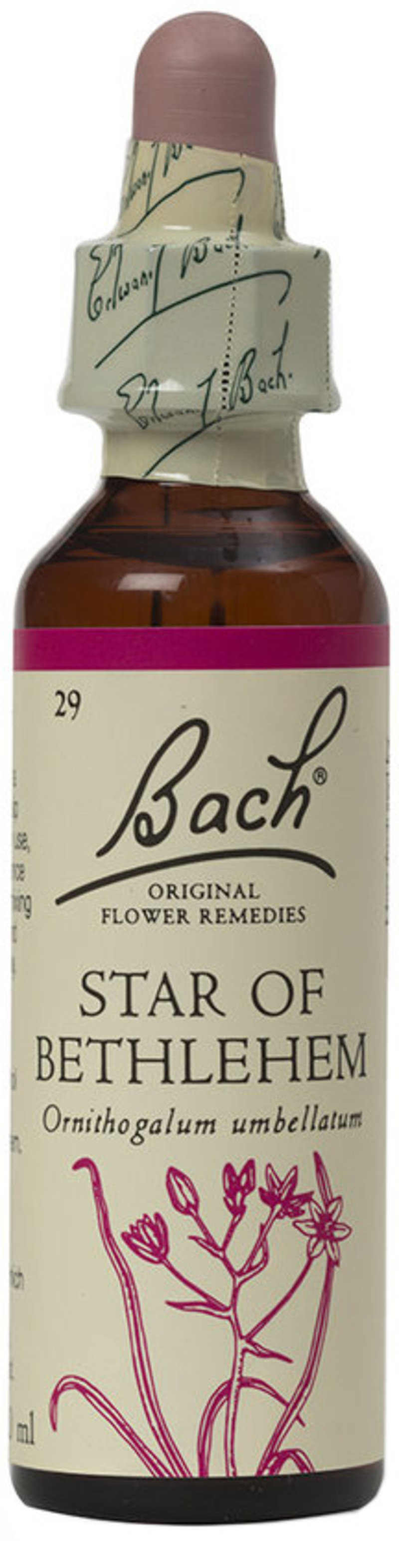 BACH ORIGINAL FLOWER REMEDIES star of bethlehem 20ml